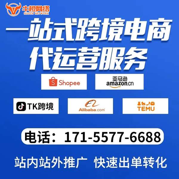 霸州电商代运营